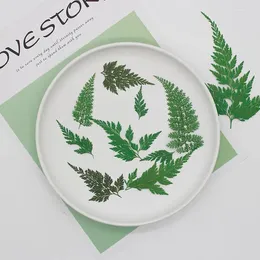 Decorative Flowers 24PCS Real Dried Green Pressed Fern Leaves Tiny Natural Drip Glue Dry Plants For DIY Craft Resin Jewellery Nail Art