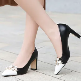 Dress Shoes Thick Heel Pumps Sexy Party Brand Classic High Quality Plus Size Women Goddess Heels Design