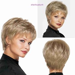 Xinqin Womens High end Rose Mesh Synthetic Wig Fashion Fluffy Short Hair Chemical Fiber Full Head Cover