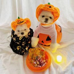 Dog Apparel Halloween Orange Pumpkin Decorative Pet Cat Hat Adjustable Velvet Accessories For Small Dogs Fashion Print