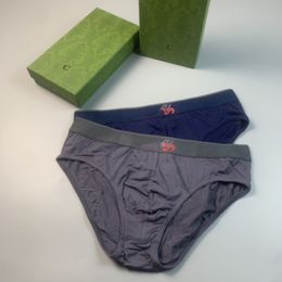 Luxury Designer Mens Underwear Breathable Comfortable Antibacterial pure Cotton Briefs for Men Sexy Underpants