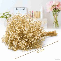 Dried Flowers Dried Babys Breath Flowers BouquetNatural White Dried Flowers Real Gypsophila Branches for Wedding Table VaseDIY Home Decor