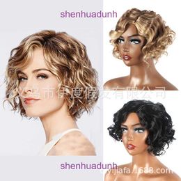 Wig womens short roll mixed color fluffy cos headgear hot new wig