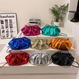 Day Packs Summer Minimalist Small for Women 2024 New High-end Texture Shoulder Bag, Fashionable and Versatile Crossbody Pleated Cloud Bag