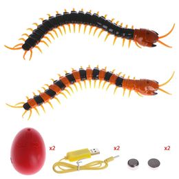 Remote Control Animal Centipede Creepycrawly Prank Funny Toys Gift For Kids 240417