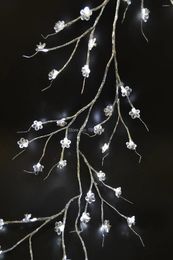 Decorative Flowers 3V Low Voltage Battery Silver Acrylic Willow Garland 6Ft Bendable Branch Light 60 PCs LED Warm White Plus Flower