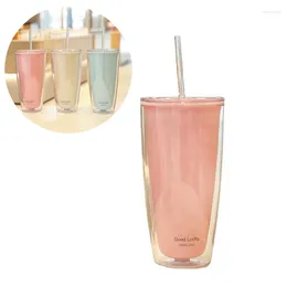 Mugs 750ml Double Layer Pvc Cold Drink Straw Cup With Lid Juice Coffee Cola Milk Tea Office Kitchen Mug BPA Free Water Bottle