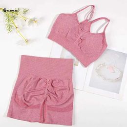 Femininos de tracksuits chreisure Conjunto de esportes sem costura 2pcs ioga conjunto de fitness sutiã com shorts de bicicleta ginásio elástico conjunto de exercícios de atividade roupas 240424