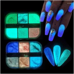 Nail Glitter 6 Grids Art Ins Luminous Pearl Shell Powder Aurora Mirror Rubbing Sugar Laser Irregar Symphony Drop Delivery Otlkc