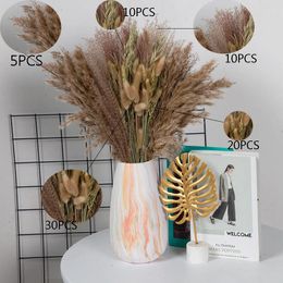 Decorative Flowers Natural Pampas Grass Dried Real Plant Tail Bouquet Craft Wedding Pography Props Home Living Room Decoration