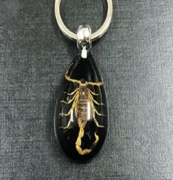 Fashion Jewellery YQTDMY Key Chains 17 pcs real insect gold scorpion key ring black drop design keychain8668960