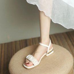 Casual Shoes Sandals For Women Buckles Summer 2024 Roman Style Footwear Block Heel One Word Beige With Low Heels Open Toe Outdoor Original H