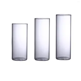 Vases Transparent Glass Hydroponic Vase Wide Mouth Borosilicate Floral Arrangements For Home Office Wedding Table