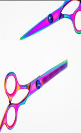 Cool Colorful Hair Cutting Scissors Clippers Flat Tooth Cutting Pet Beauty Tools Set Kit Dogs Grooming Hair Cutting Scissors Set6777713