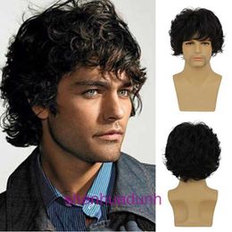 New wig mens short curly hair fluffy denim style high-temperature silk synthetic fiber wigs