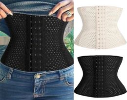 Belts Female Corset Belt Waist Trainer Latex Cincher Women Slimming Girdles Shapewear Body Shaper Fitness Sheath M4XL6168367