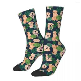Men's Socks Golden Retrievers Tropical Harajuku Sweat Absorbing Stockings All Season Long Accessories For Man's Woman's Gifts