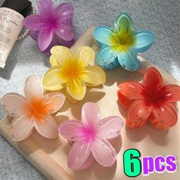 Hair Clips Barrettes 1/6 piece gradient acrylic hair clip suitable for women cute summer beach Hawaiian headwear