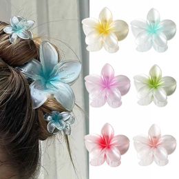 Hair Clips Barrettes Fashion Gradient 8cm womens hair clip egg yolk flower crab bucket Hawaiian accessories