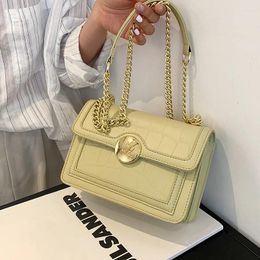 Shoulder Bags Niche Design Chain Bag Female 2024 Fashion Messenger High-end Square Underarm Dual-use Width: 20cm