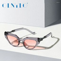 Sunglasses Spring 2024 Fashion Cat'S Eye Frame 8830 European And American Personalised Women'S Cross-Border Moder