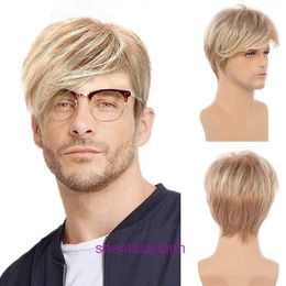 Fashionable mens short hair slanted bangs wig fluffy natural high temperature silk synthetic Fibre full head cover