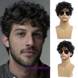 New wig mens black short curly hair layered synthetic fiber full head cover