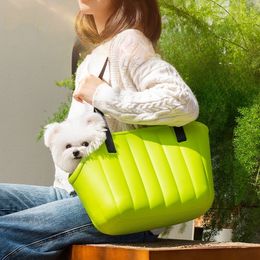 EVA pet bag for cats and puppies outdoor portable bag breathable portable cat bag pet backpack shoulder bag wholesale