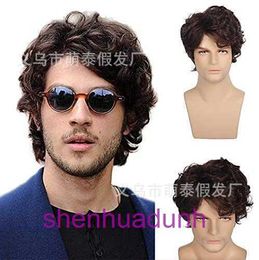 New mens wig short curly hair brown fluffy slightly divided into fashionable styles patches