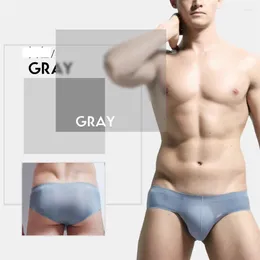 Underpants Mens Sexy Seamless Underwear Shorts Breathable Perspective Briefs Fashion Men Male Panties Gay