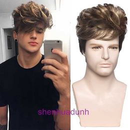 Mens Wig Fashion Mixed Color Short Curly Hair Fluffy Chemical Fiber High Temperature Silk Machine Head Cover Man wigs