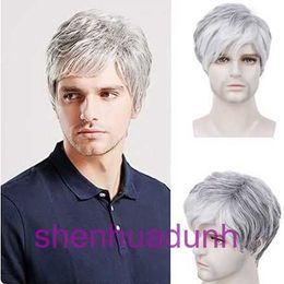 New mens wig brown gray diagonal bangs for men