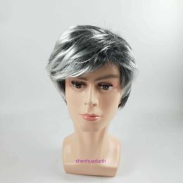 Mens Wig Film and Television Grandfather Stage Performance Ball Dressing Props