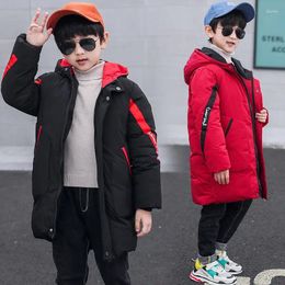 Down Coat 2024 Childrenswear BOY'S Style Korean-style Winter CHILDREN'S Cotton Wear Big Boy Boys Webbing Cotton-padded Ja