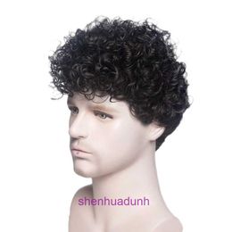 Mens Wig Handsome Popular Fashion Short Curly Hair Fluffy Daily Full Set