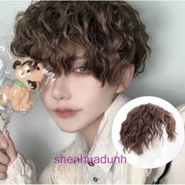 Wig for men and women unisex short curly hair tin foil perm handsome bubble face synthetic fiber wig cover