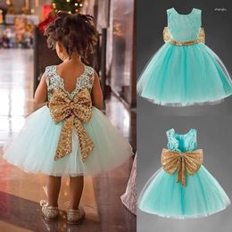 Girl Dresses Baby & Young Girls Kids Wedding Flower Dress Princess Party Pageant Formal Back Bow Sleeveless Lace Tulle DS19