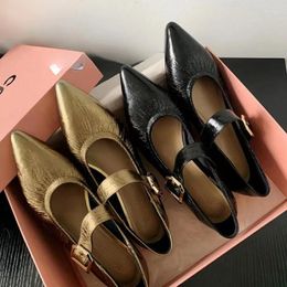 Casual Shoes 2024 Spring/Autumn Mary Janes Series Sheepskin Pointed Toe Chunky Heel Grandma Black Solid Pumps Women