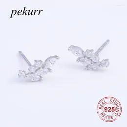 Stud Earrings Pekurr 925 Sterling Silver Crystal Leaf Irregular Flower Women Zircon Strip Female Fashion Jewellery Accesories