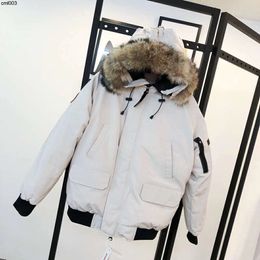 Designer Pilot Wyndham Parka Winter Down Jacket Outdoor Coat Men Women Classic Fashion Real Coyote Fur Wind Waterproof White Ucsq Ucsq