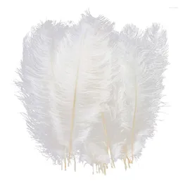 Decorative Flowers 20pcs Natural Ostrich Feathers For Craft Wedding Decoration Handicraft Accessory