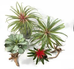 Large Artificial Air Pineapple Succulent Plant Tillandsia Plastic Green Leaf Home Shop Wedding Floral Decor Decorative Flowers W7104647