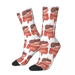 Men's Socks Digestive System Organs Illustration High Quality Stockings All Season Long For Man Woman Birthday Present