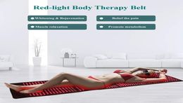 Professional red light therapy Waist Belt fat reducing pads far infared lightening full body lipo belts for home use49825628711876