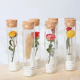 Bottles Dried Flower Glass Vase Transparent Bottle Living Room Decoration For Hydroponics Plants Garden Decor