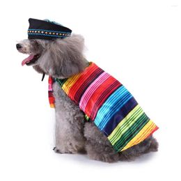 Dog Apparel Pet Costume S/L Puppy Mexican Serape Poncho With Black Hat Halloween