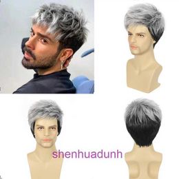 New mens gray white fluffy short curly hair wig cover