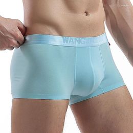 Underpants Sexy Men Underwear Boxers Seamless Comfortable Cotton Modal Boxer Shorts Multi Colour Solid Lingerie