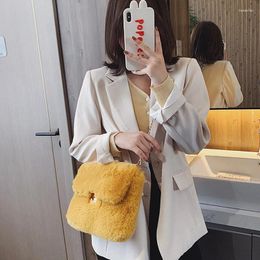 Bag 2024 Winter Handbags High Quality Plush Women Chain Shoulder Tote Fashion Brand Designer Fur Messenger Luxury Clutch