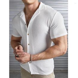Men's Casual Shirts Summer Turn-down Collar Stirpes Solid Waffle Casal Cardigan Loose Muscle Short Sleeve Shirt For Male Tops
